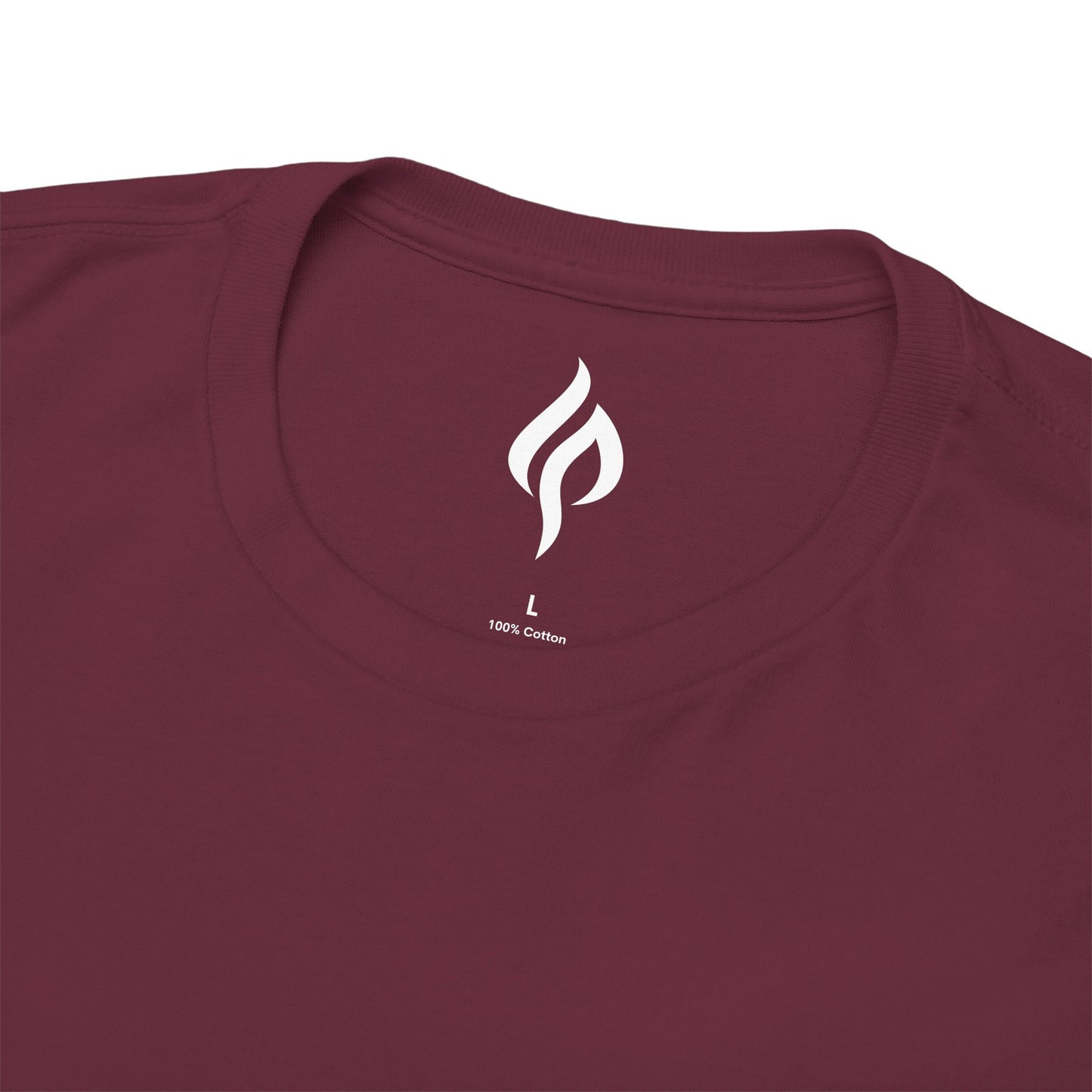Holy Spirit Come - Unisex T-shirt